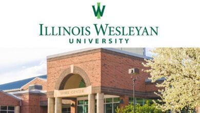 University of Illinois Scholarships