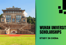 Wuhan University Scholarships